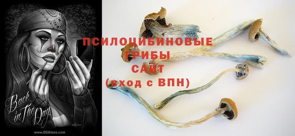 синтетический гашиш Медногорск