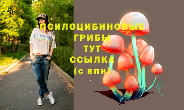 mix Мегион