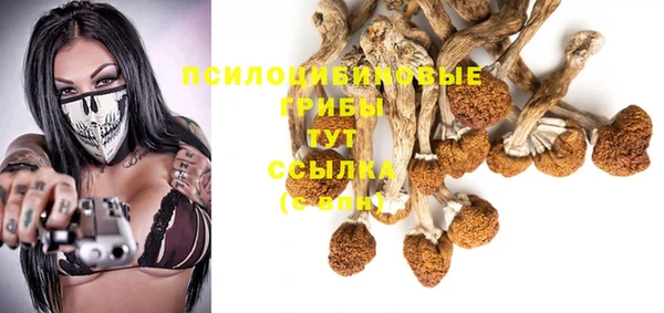 синтетический гашиш Медногорск
