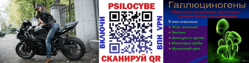 Купить закладки  Юрьевец  Галлюциногенные грибы Magic Shrooms 